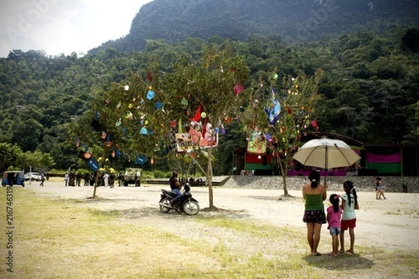 Fototapeta cortamonte carvanal