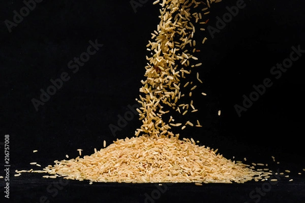 Obraz Rice falling