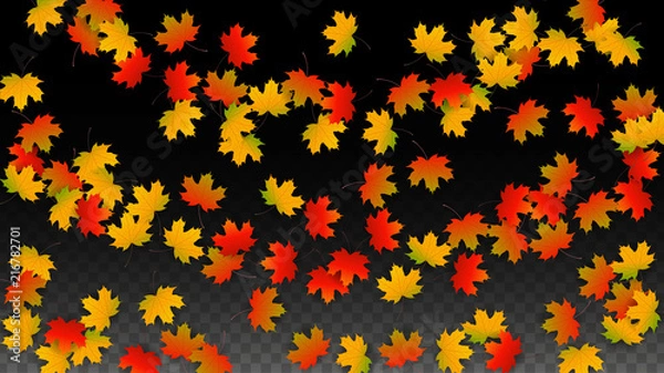 Fototapeta September Vector Background with Golden Falling Leaves. Autumn Illustration with Maple Red, Orange, Yellow Foliage. Isolated Leaf on Transparent Background. Bright Swirl. Suitable for Posters.