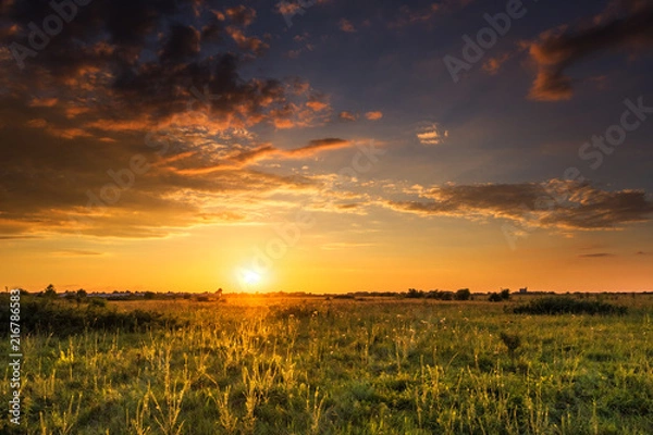 Obraz Vibrant sunset over field 