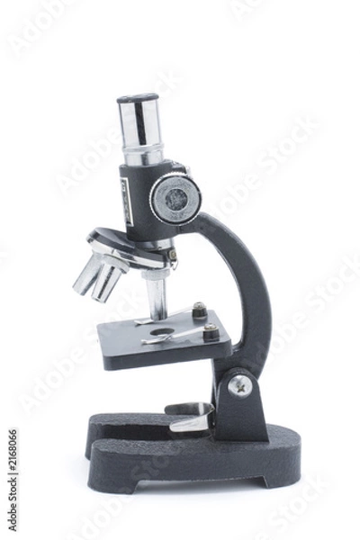 Fototapeta microscope