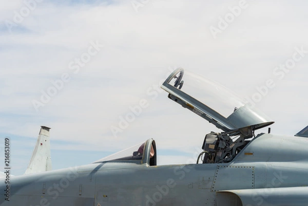 Obraz Fighter aircraft parked.