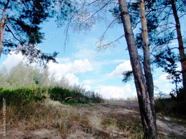 Obraz природа