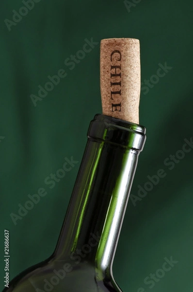 Obraz Wine bottle from Chile with cork