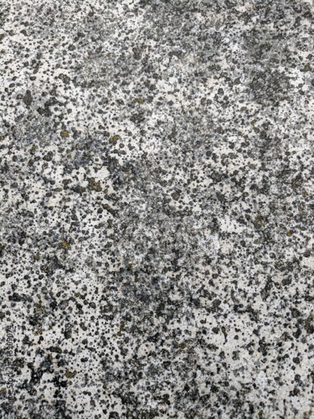 Obraz Texture gray and white background