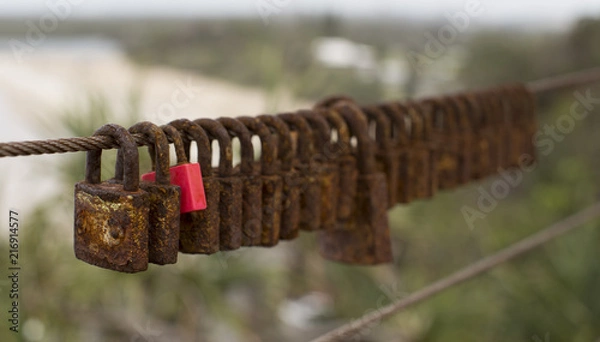 Obraz Rusted Love Locks