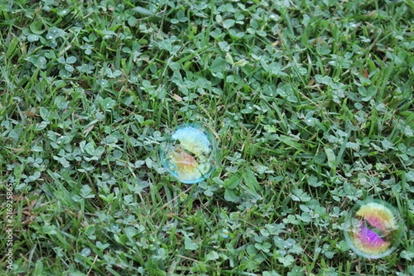 Fototapeta Bubble in the grass