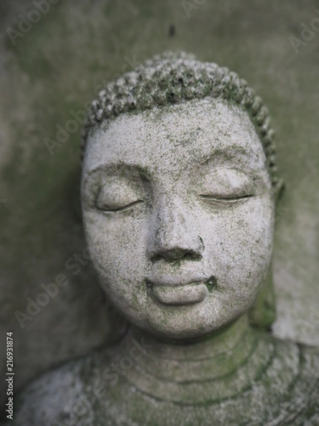 Fototapeta Buddha face close up, grey with  weathered moss sitting in a tree