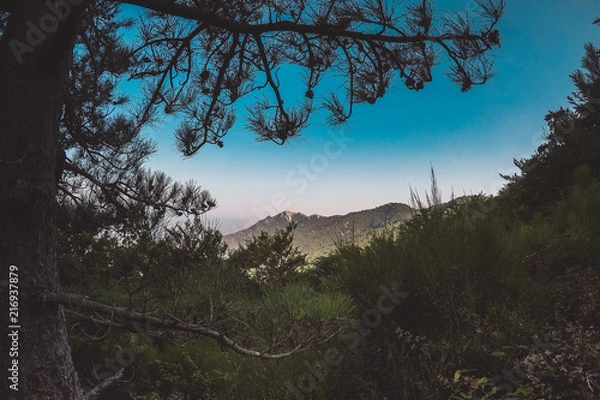 Obraz un paysage d'été en montagne française