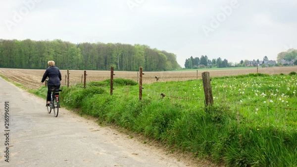 Fototapeta bicycling 