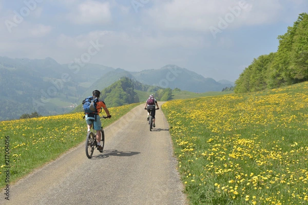 Fototapeta Mountain biking
