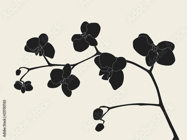 Obraz Orchid branch silhouette, vector illustration