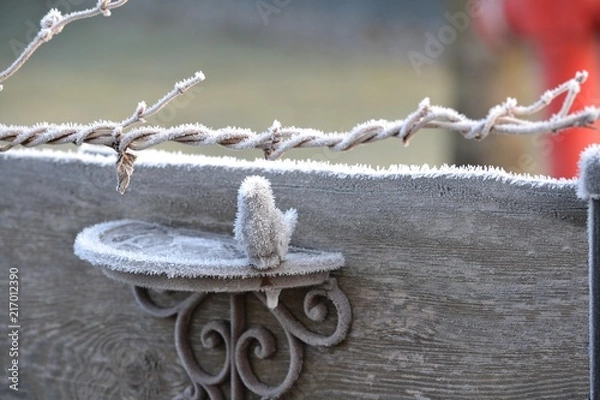 Fototapeta Brass bird with frost needles
