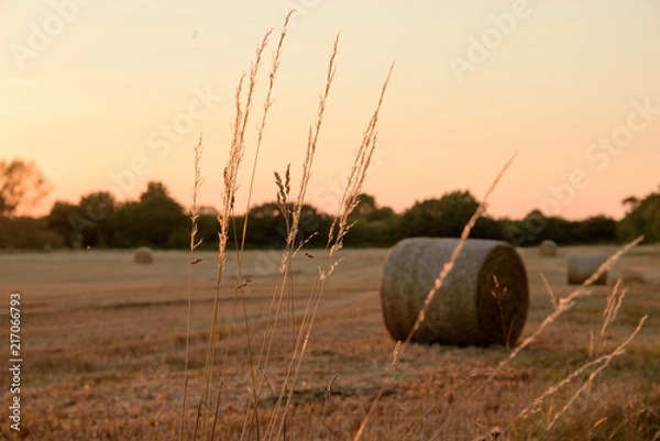 Obraz Straw Bales at sunset.