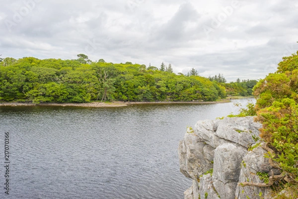 Fototapeta Panorama of edge and surroundings of a lake in a national park in summer