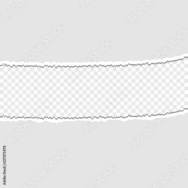 Fototapeta Pieces of torn paper on a transparent background. Vector illustration for your design.