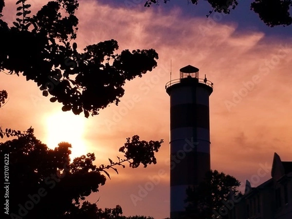 Fototapeta Lighthouse sun flowers 