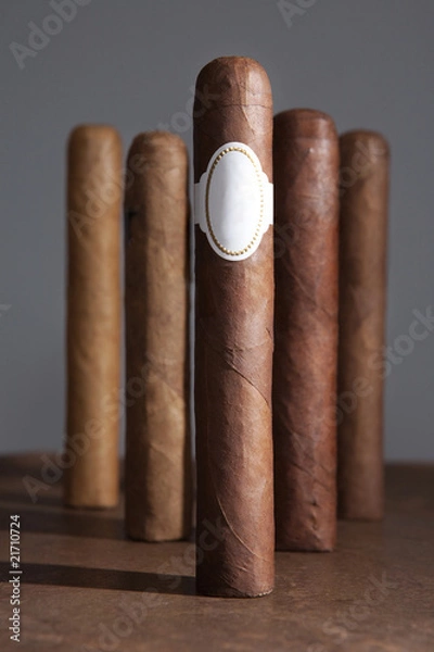 Obraz cigar