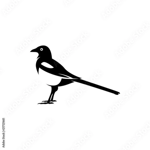 Obraz magpie silhouette
