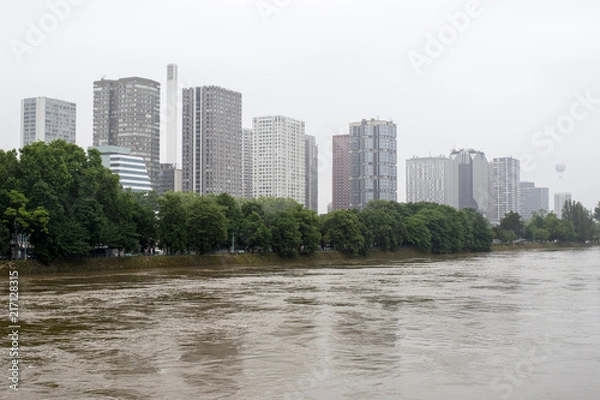 Obraz Paris flood