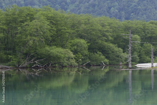 Obraz 上高地大正池／長野県松本市