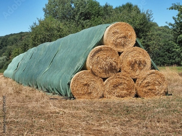 Obraz Strohrollen am Feldrand