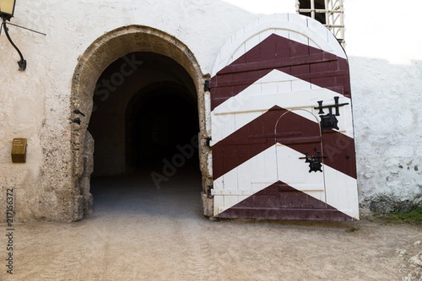 Obraz alte burgtüre