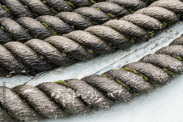 Fototapeta Nautical Rope