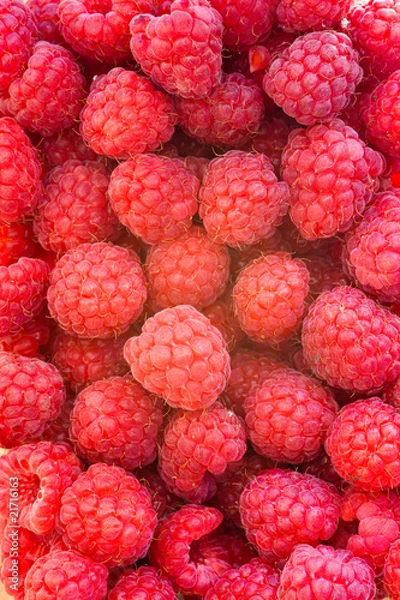 Obraz Raspberries