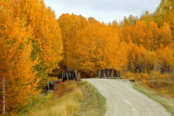Obraz Orange Trail Bridge