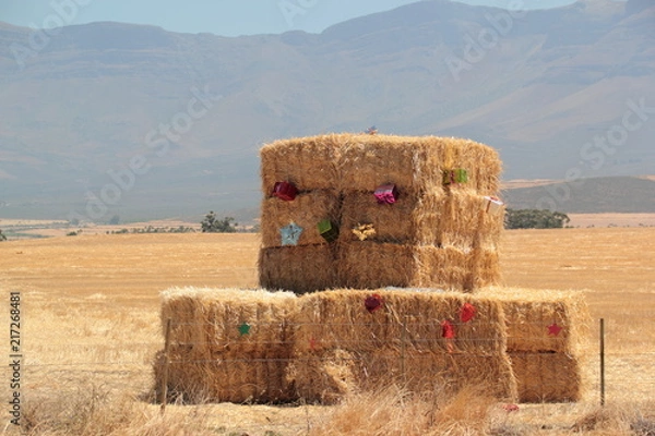 Fototapeta Christmas Bails