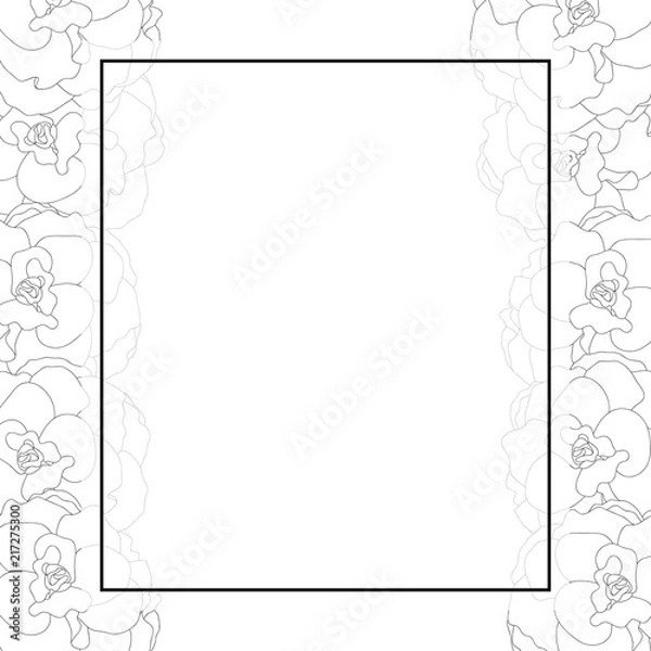 Fototapeta Begonia Flower Outline, Picotee Banner Card Border