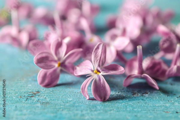 Obraz Beautiful lilac flowers on table, closeup