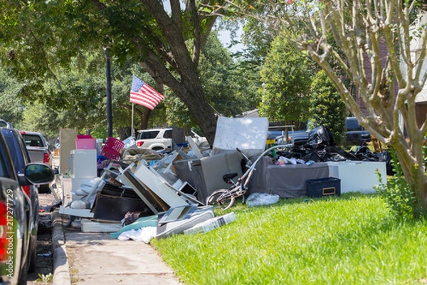 Obraz Life after devastating floods