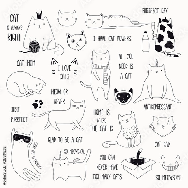 Fototapeta Set of cute funny black and white doodles of different cats and quotes. Isolated objects. Hand drawn vector illustration. Line drawing. Design concept for poster, t-shirt, fashion print.