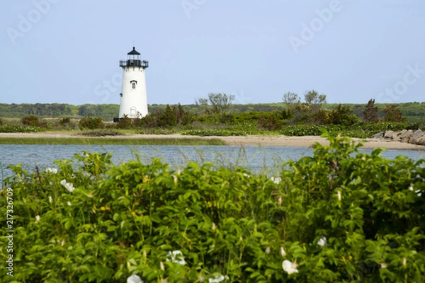 Fototapeta White Beach Roses in Front of Lighthouse on Martha's Vineyard Island