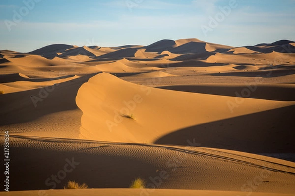 Obraz Campamento en Erg Chegaga