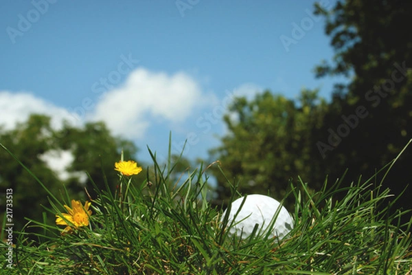 Obraz balle de golf égarée