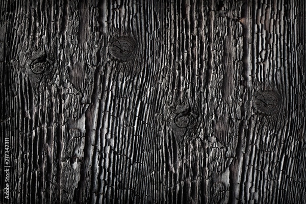 Obraz Textured charred wood.