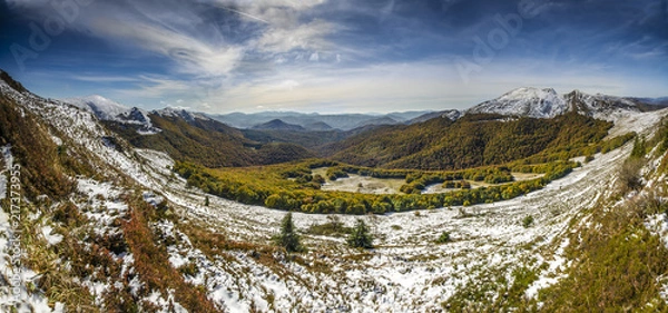 Obraz Gniazdo Tarnicy