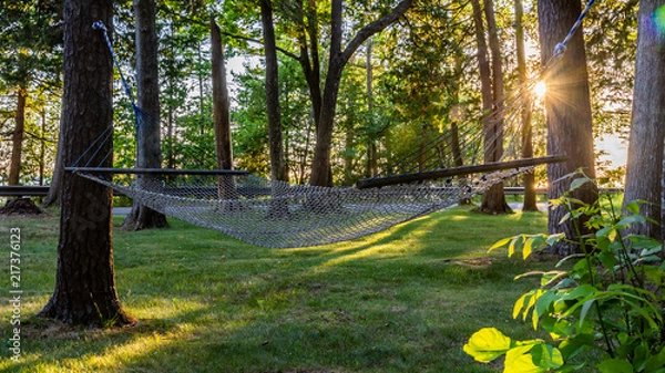 Obraz Sunny Hammock in the Trees