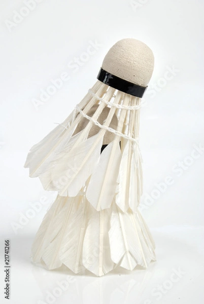 Fototapeta badminton