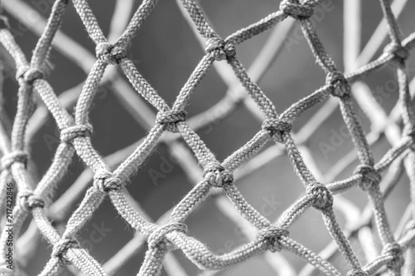 Obraz basketball nets