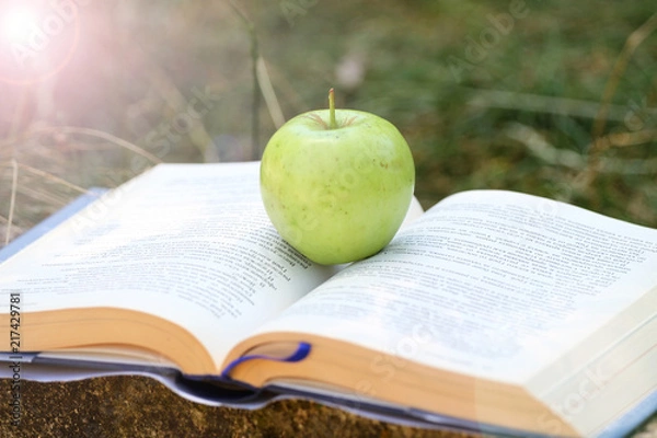 Fototapeta Fresh green apple on an open book outdoor in the grass. Time for school. Learn and healthy food concept. Apple and a book. Open schoolbook. Open manual and fruit outdoor. Nature and education. 