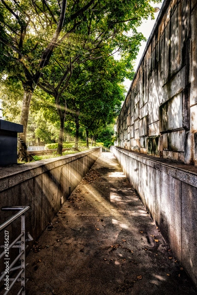 Fototapeta The Passage