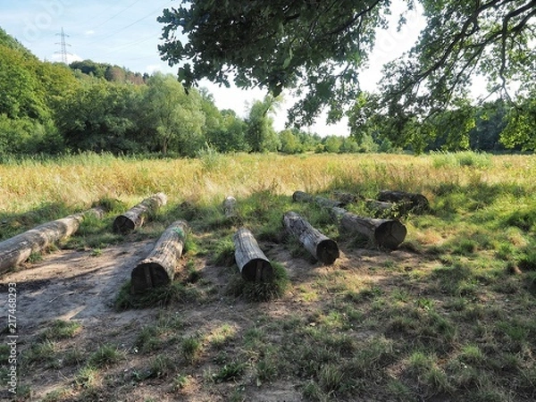 Obraz Rastplatz unter einem alten Baum