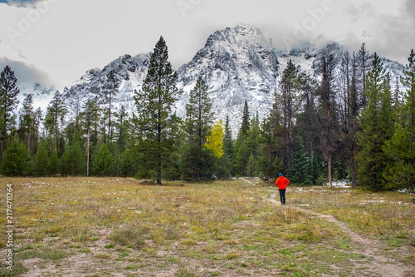 Fototapeta Teton View