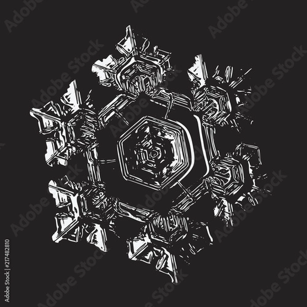 Obraz Glossy snowflake on black background. This vector illustration based on macro photo of real snow crystal: small star plate with six short, broad arms, relief surface and complex inner structure.