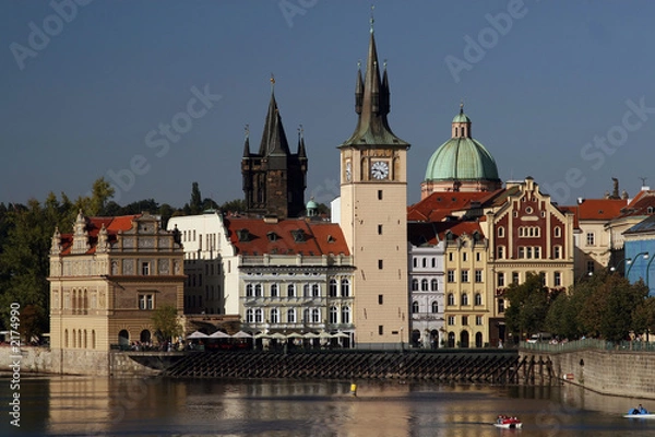 Fototapeta praga - grzywy
