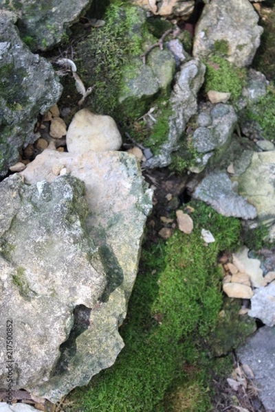 Obraz Moss rocks